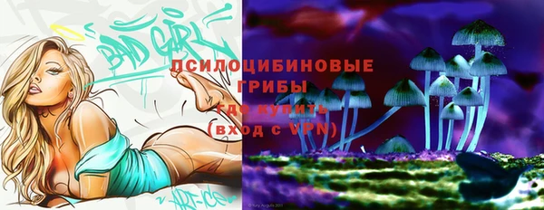 марки lsd Вяземский