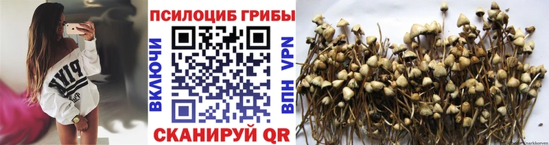 Псилоцибиновые грибы GOLDEN TEACHER  Лабытнанги 